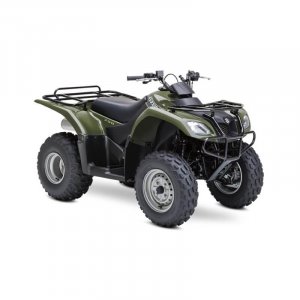 suzuki ozark 250